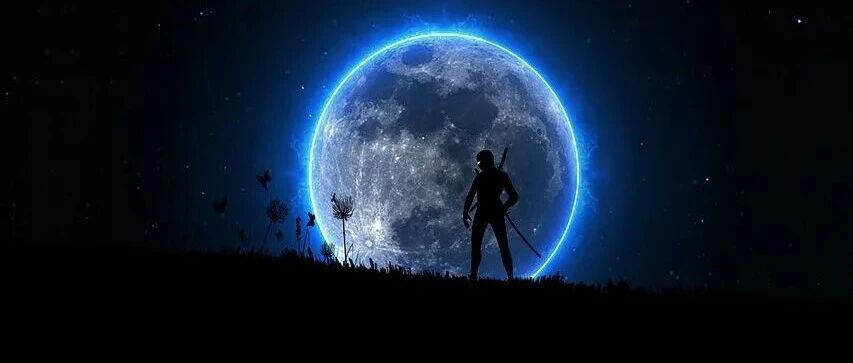 Grok 4.1 评测登顶:从双冠到体验升级的全景解读